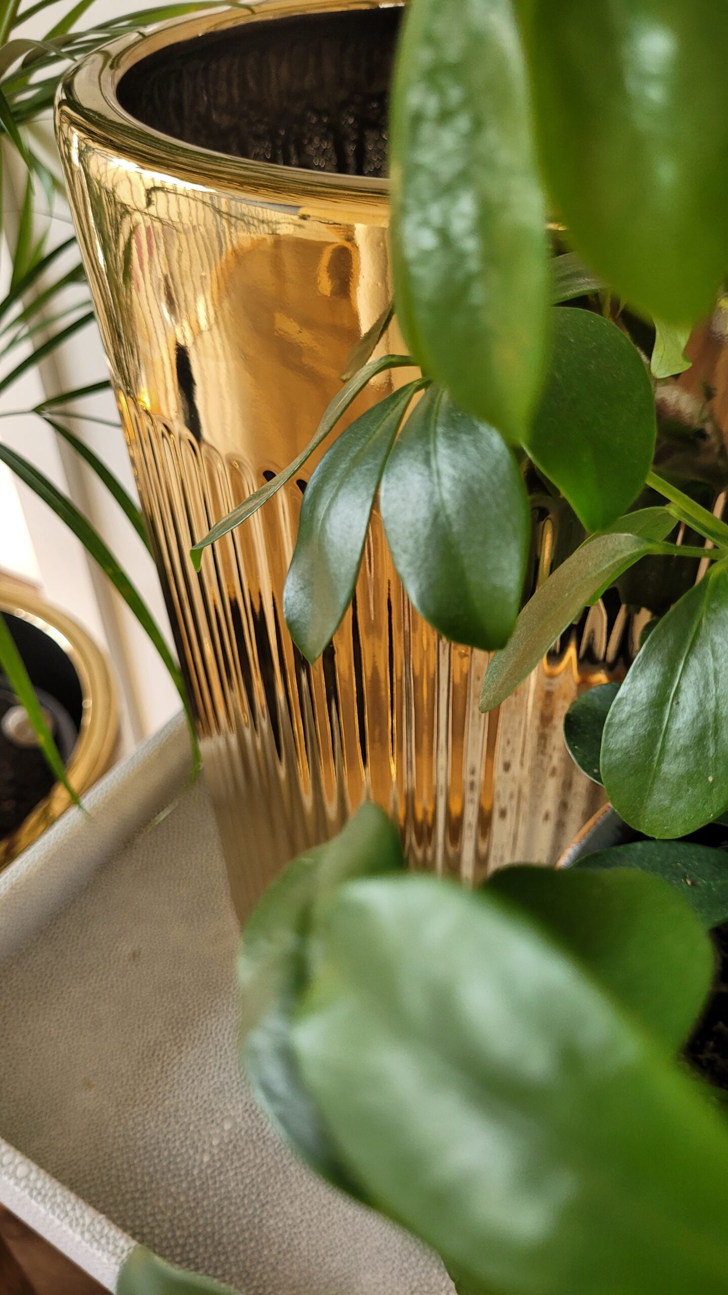 ZESTAW 3 DONIC złotych, ceramicznych, ryflowane, wysoki połysk, styl glamour, premium ZESTAW 3 DONIC złotych, ceramicznych, ryflowane, wysoki połysk, styl glamour, premium