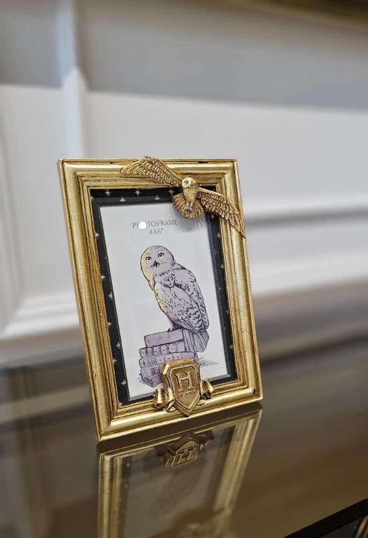 RAMKA NA ZDJĘCIE złota, Harry Potter, sowa Hedwiga, dla fanów, nowoczesna, piękna