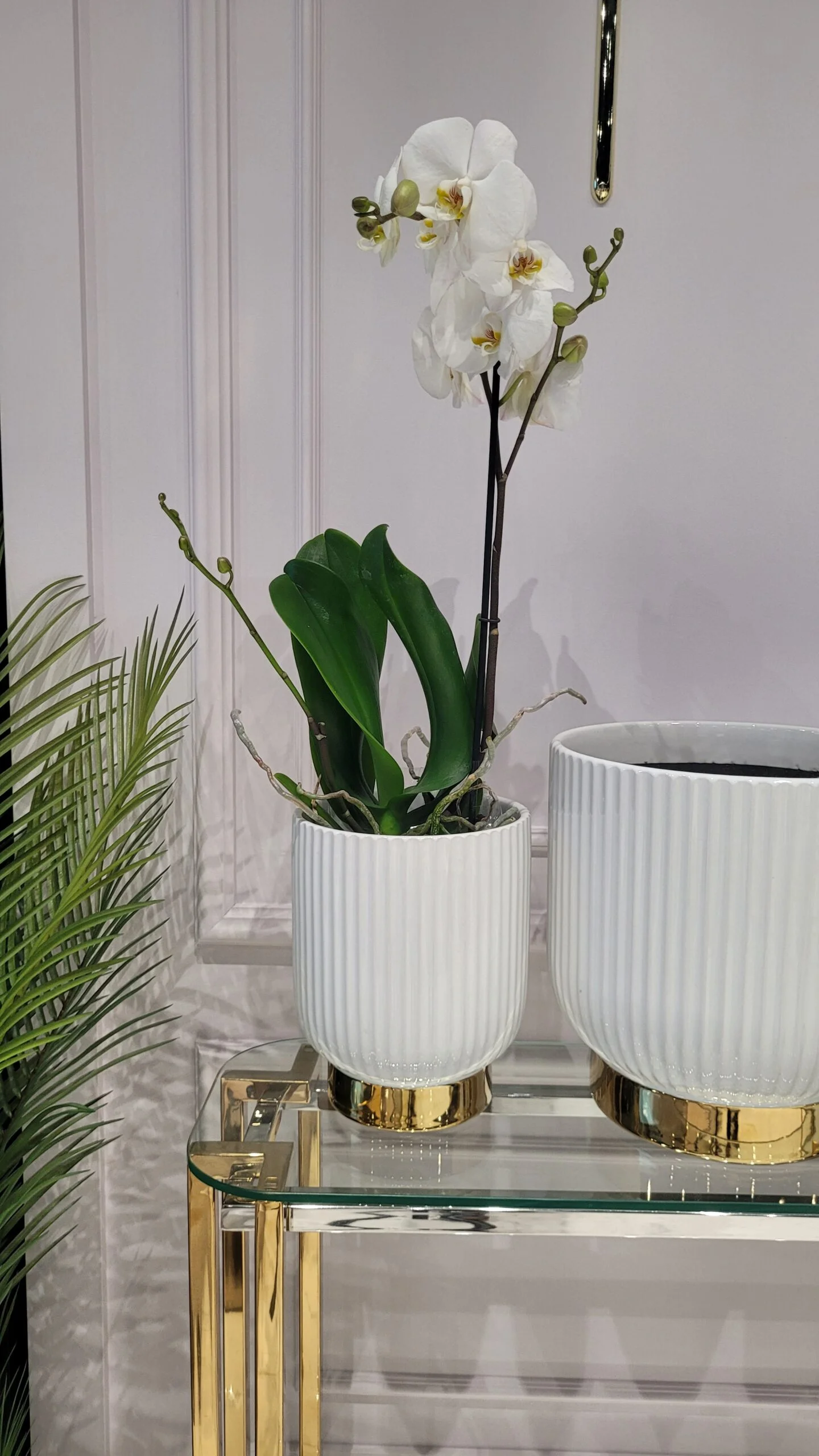 ZESTAW 3 DONIC ryflowanych, biało-złote z ceramiki mrozoodpornej, idealne do ogrodu, premium ZESTAW 3 DONIC ryflowanych, biało-złote z ceramiki mrozoodpornej, idealne do ogrodu, premium