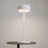 LAMPA STOŁOWA LED z metalową cienką nogą na płaskiej okrągłej podstawie, biała, akrylowy klosz, nowoczesny design
