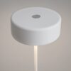 LAMPA STOŁOWA LED z metalową cienką nogą na płaskiej okrągłej podstawie, biała, akrylowy klosz, nowoczesny design, premium
