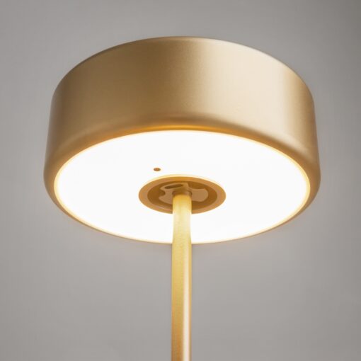 LAMPA STOŁOWA LED z metalową cienką nogą na płaskiej okrągłej podstawie, złota, akrylowy klosz, nowoczesny design, piękna