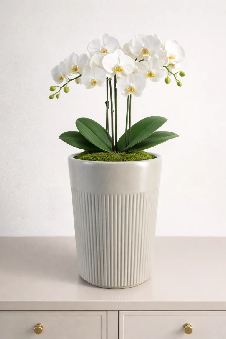 DONICE ceramiczne ryflowane, okrągłe, kaszmirowe, zestaw 3 sztuk, nowoczesne, premium