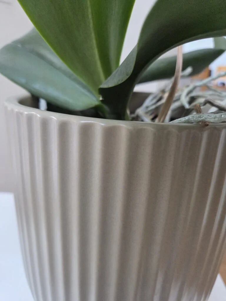 ZESTAW 3 DONIC ryflowanych, kaszmirowe, złoty pasek u dołu, z ceramiki mrozoodpornej, idealne do ogrodu, wyrafinowane