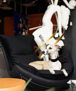 FOTEL Otilia Stand Velvet z korpusem tapicerowanym czarną ekoskórą, duże, miękkie poduszki obite welurową tkaniną, metalowa podstawa, premium