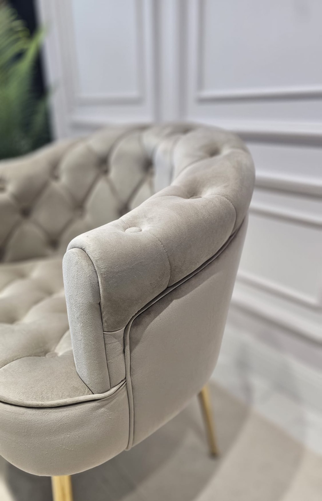 FOTEL z podłokietnikami, siedzisko tapicerowane welwetową tkaniną w kolorze taupe z eleganckimi pikowaniami, metalowe nogi w złotym błyszczącym wykończeniu, ekskluzywny
